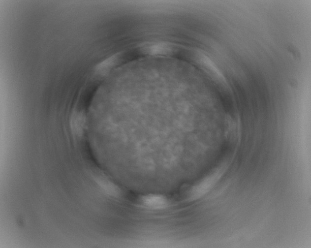 X0000115300189200911231317