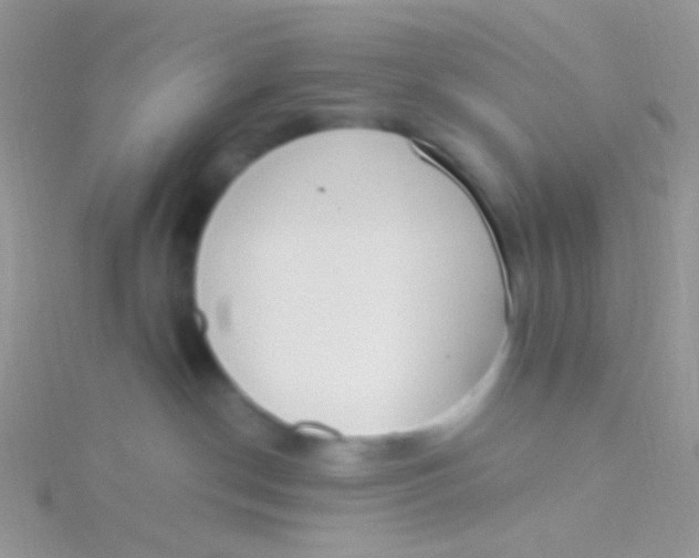 X0000115300190200911231317