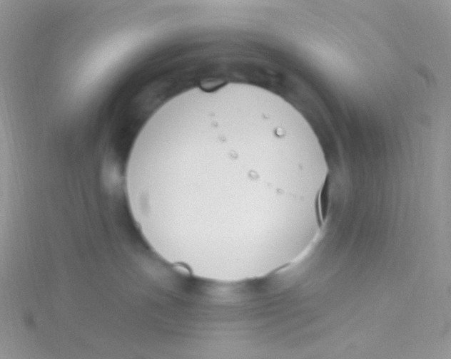 X0000115300191200911231317