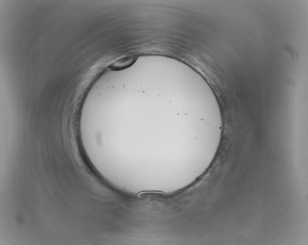 X0000115300193200911231316