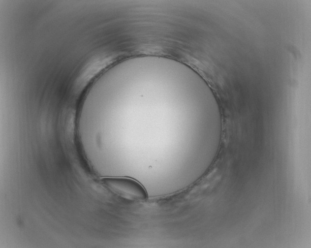 X0000115300194200911231316