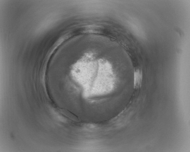 X0000115300195200911231316