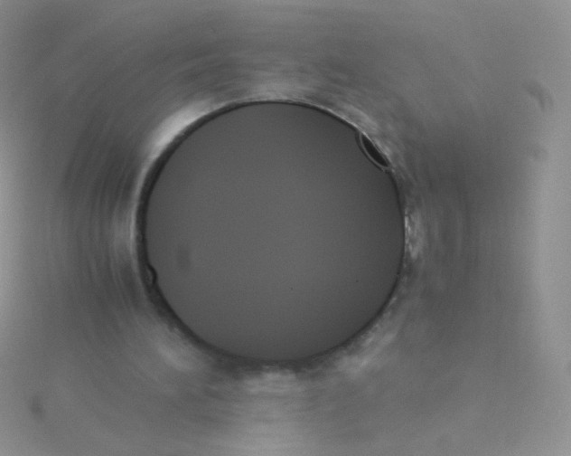 X0000115300196200911231316