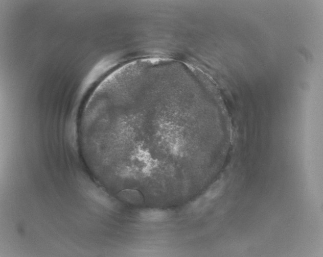 X0000115300198200911231316