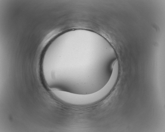 X0000115300199200911231316