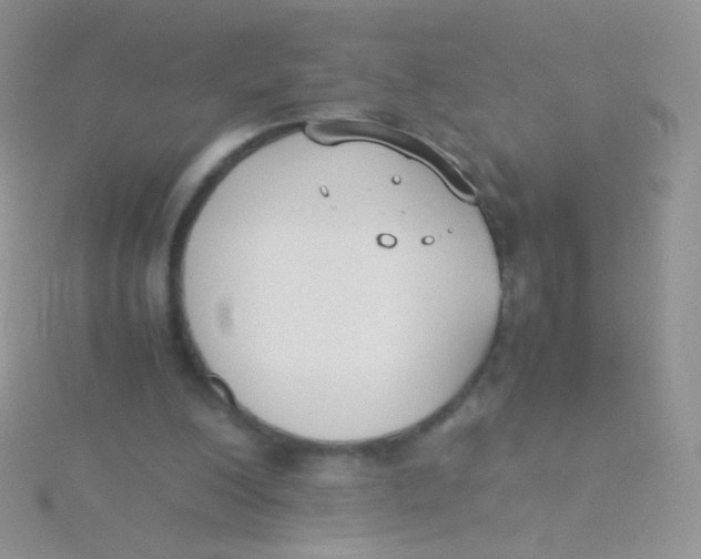 X0000115300200200911231316