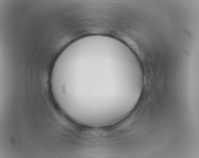 X0000115300201200911231316