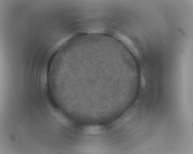 X0000115300202200911231316