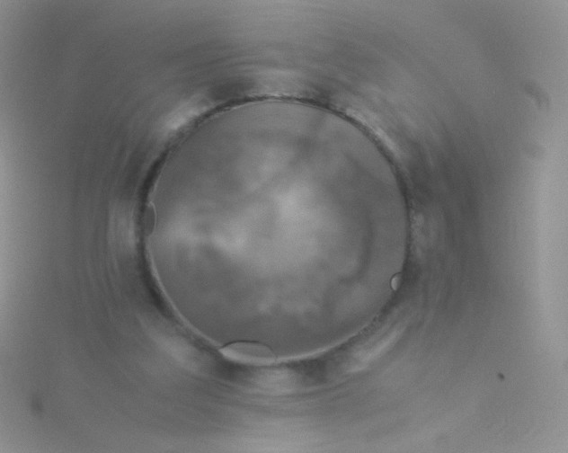 X0000115300203200911231316