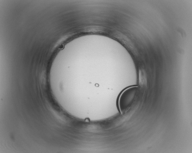 X0000115300204200911231316