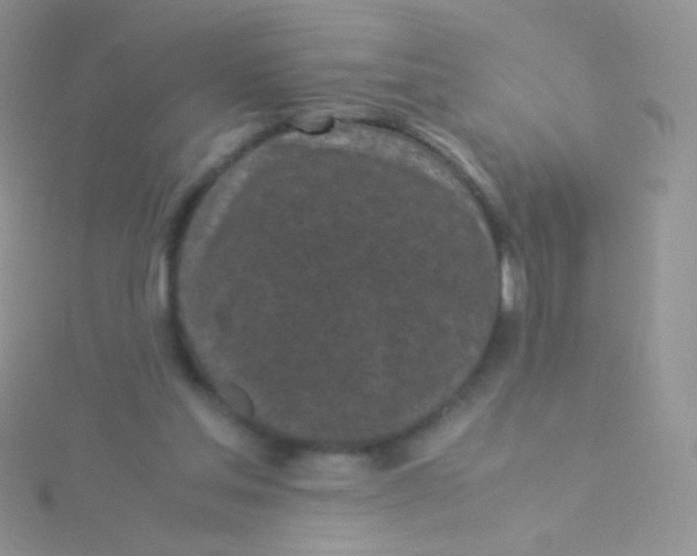 X0000115300205200911231316