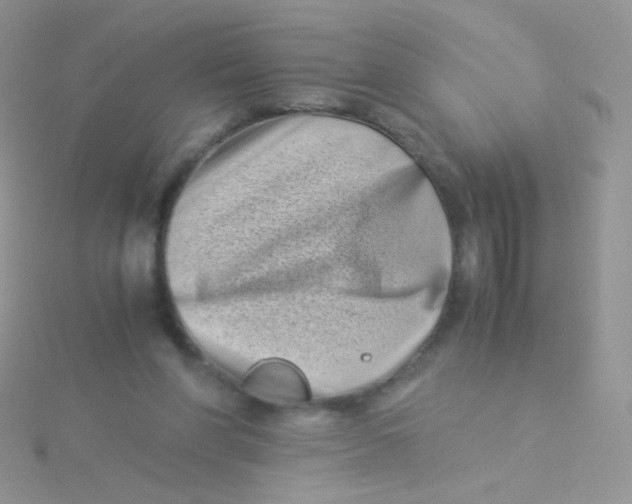 X0000115300206200911231316