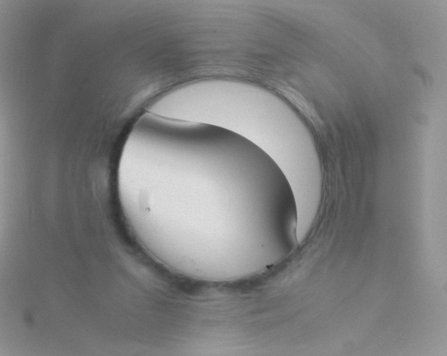 X0000115300207200911231316