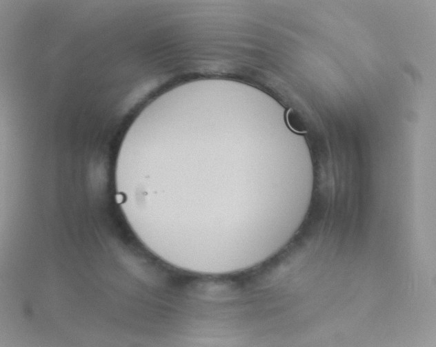 X0000115300208200911231316