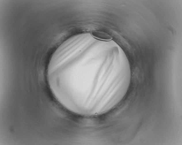 X0000115300209200911231316