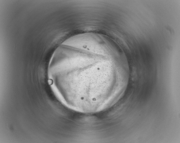 X0000115300210200911231316