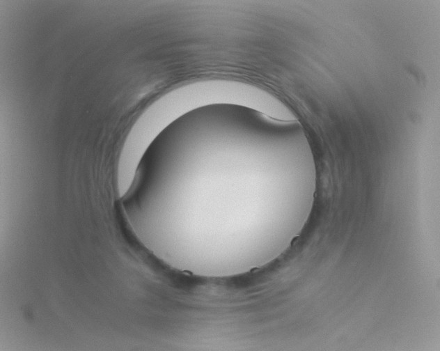 X0000115300211200911231316