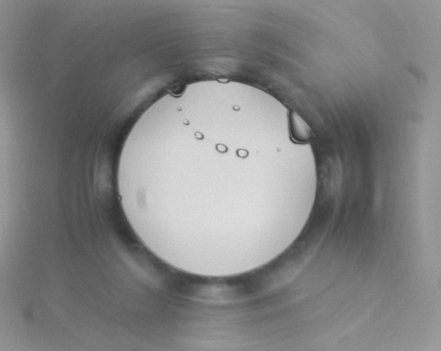 X0000115300212200911231316