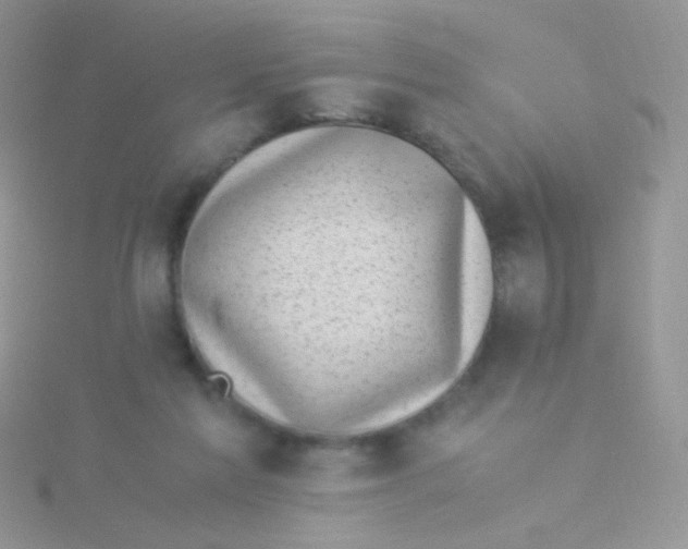 X0000115300213200911231315