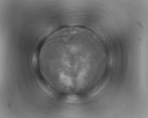 X0000115300214200911231315