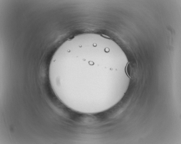 X0000115300215200911231315