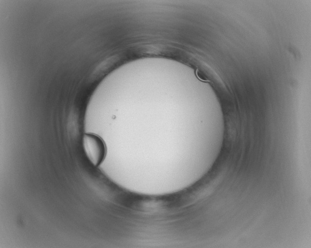 X0000115300216200911231315