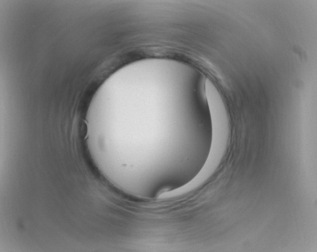 X0000115300217200911231315