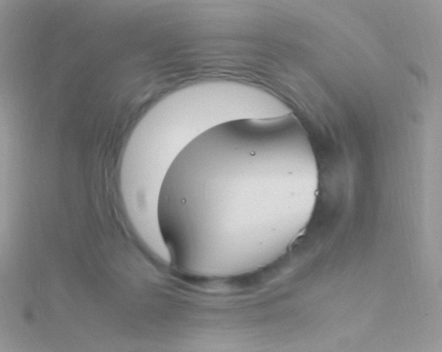 X0000115300219200911231315