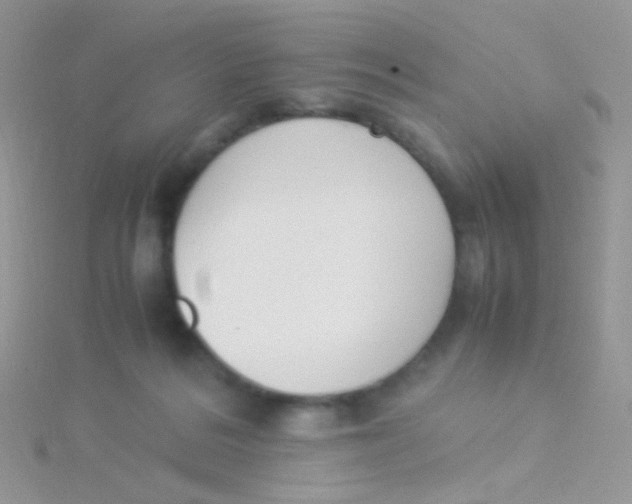 X0000115300220200911231315