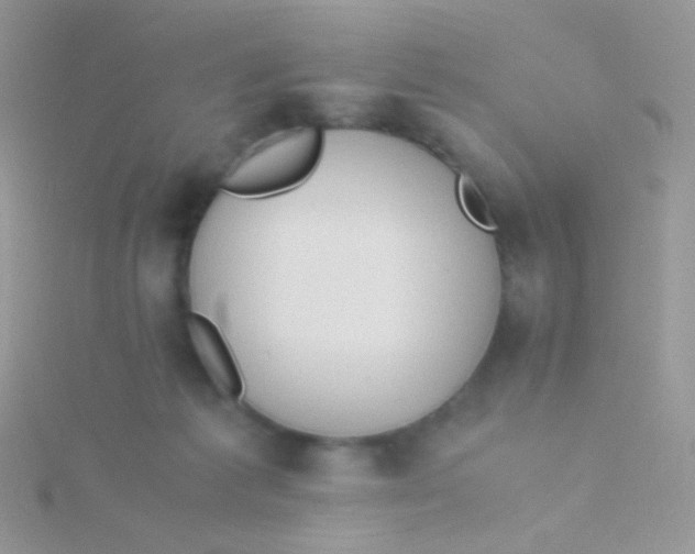 X0000115300221200911231315