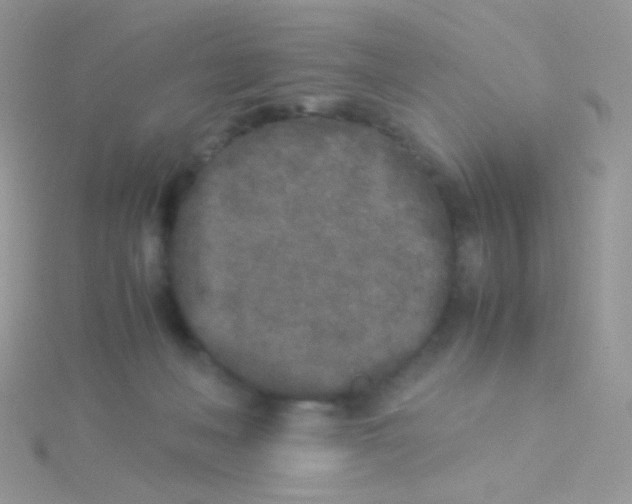 X0000115300222200911231315