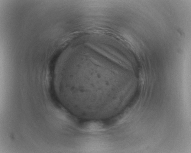 X0000115300223200911231315