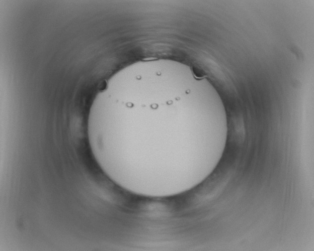 X0000115300224200911231315