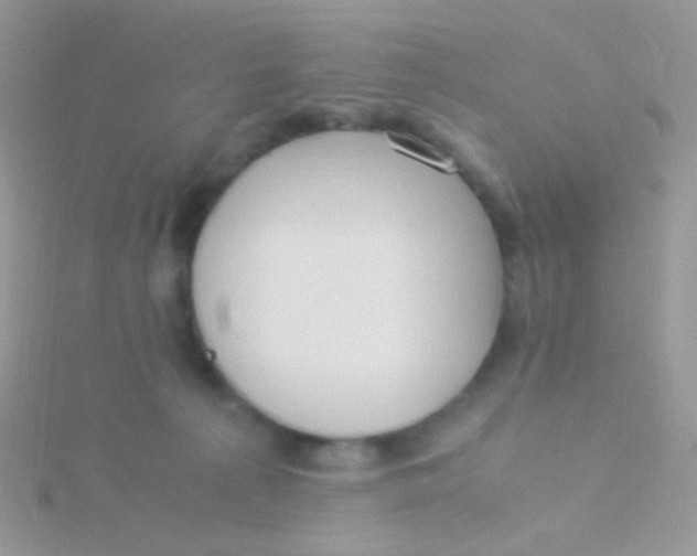 X0000115300225200911231315