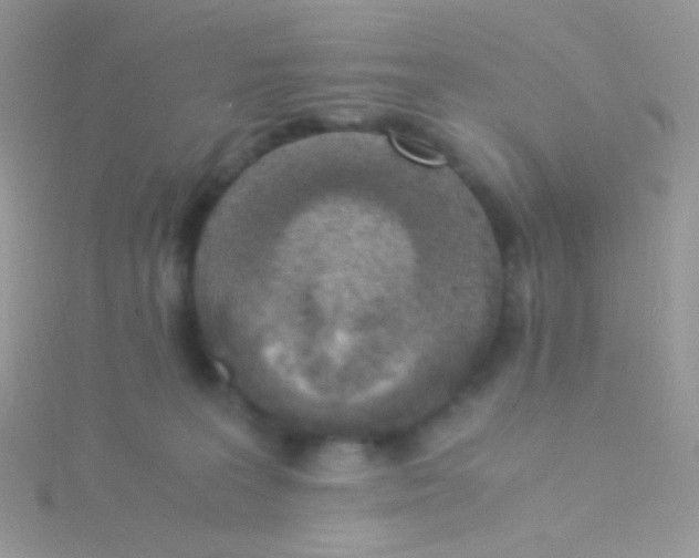 X0000115300227200911231315