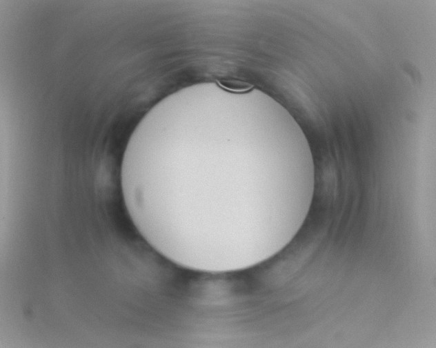 X0000115300228200911231315