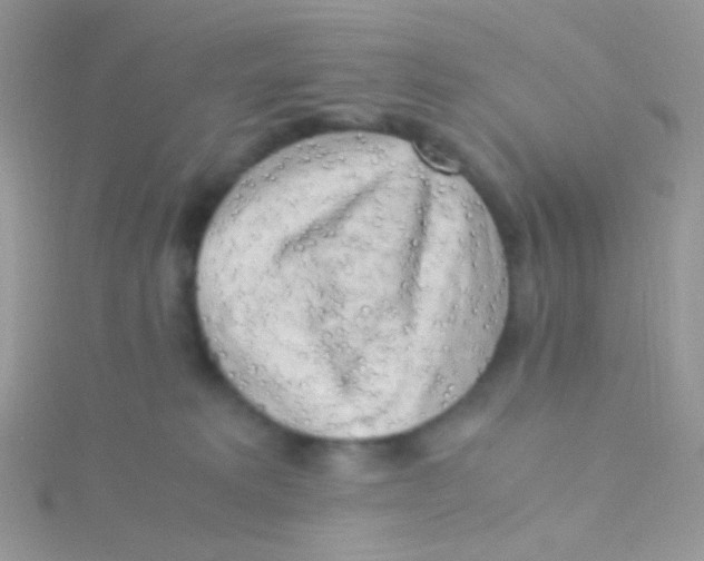 X0000115300229200911231315