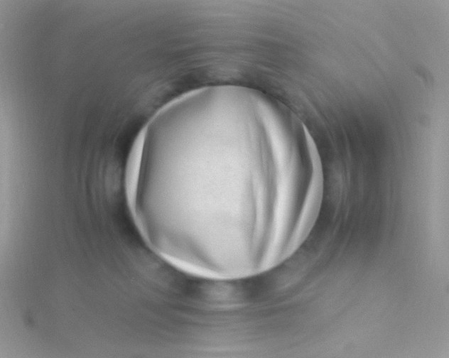 X0000115300230200911231315