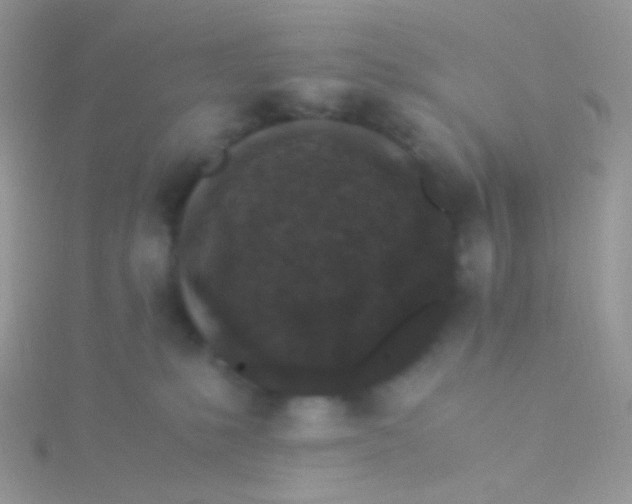 X0000115300231200911231315