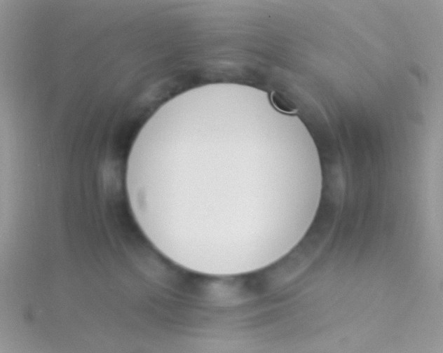 X0000115300232200911231315