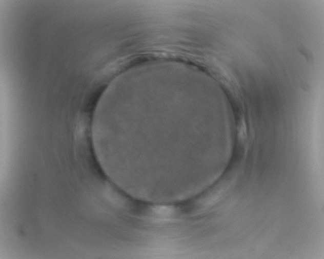 X0000115300233200911231315