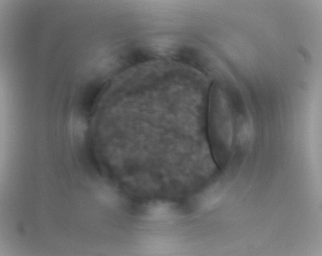 X0000115300235200911231315