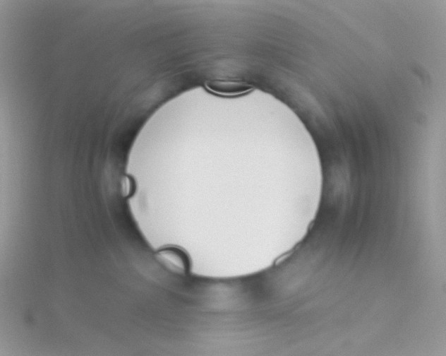 X0000115300236200911231315