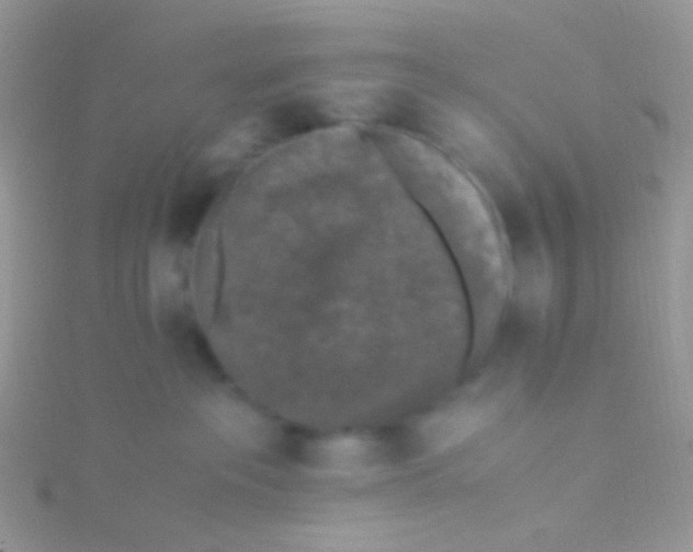 X0000115300237200911231315