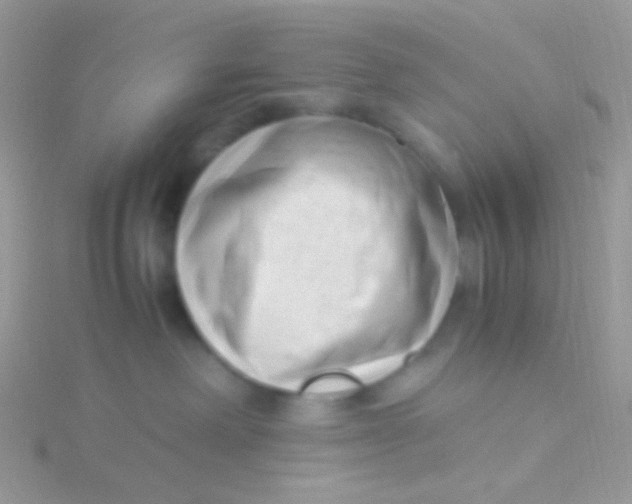 X0000115300238200911231315