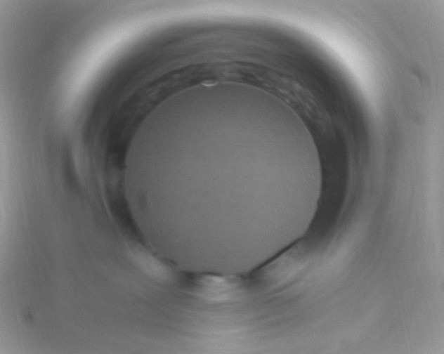 X0000115300239200911231315