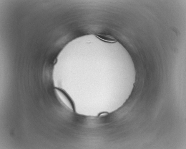 X0000115300240200911231315