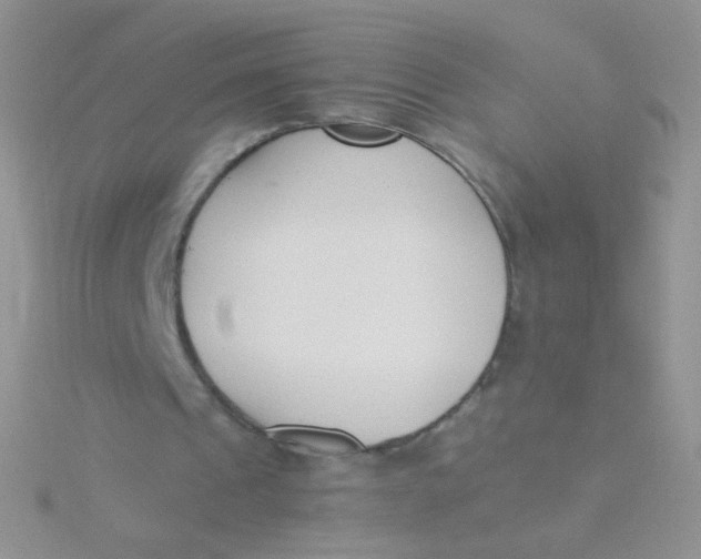 X0000115300241200911231315