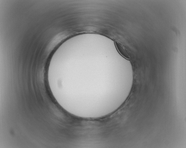 X0000115300242200911231315