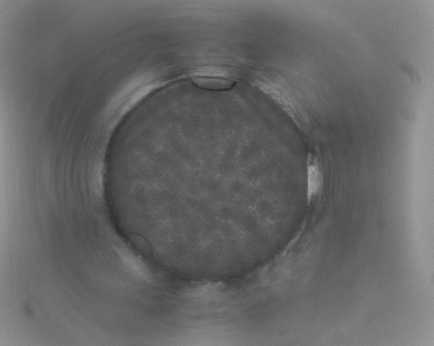 X0000115300243200911231315